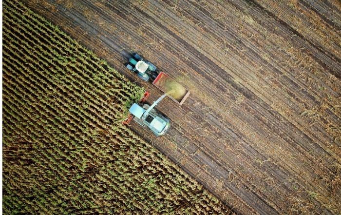 Deutschland Klimawandel