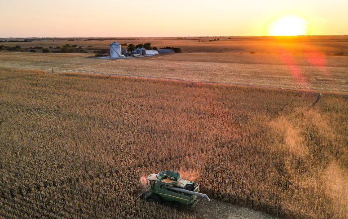 Mähdräscher auf weizenfeld