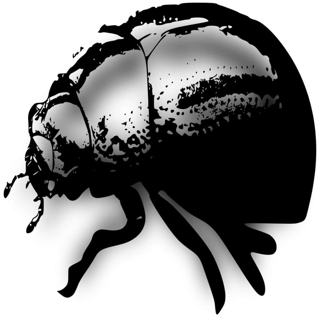 schwarzer Käfer