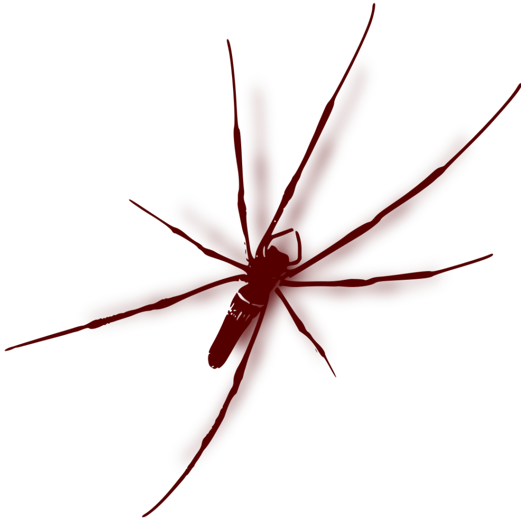 braune Spinne