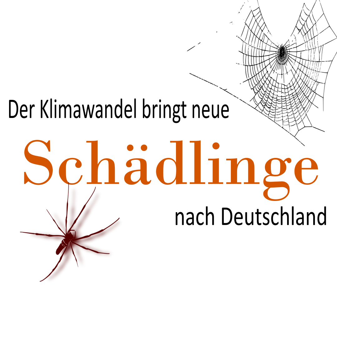 Titelbild, Schädlinge durch den Klimawandel - Joel Debus