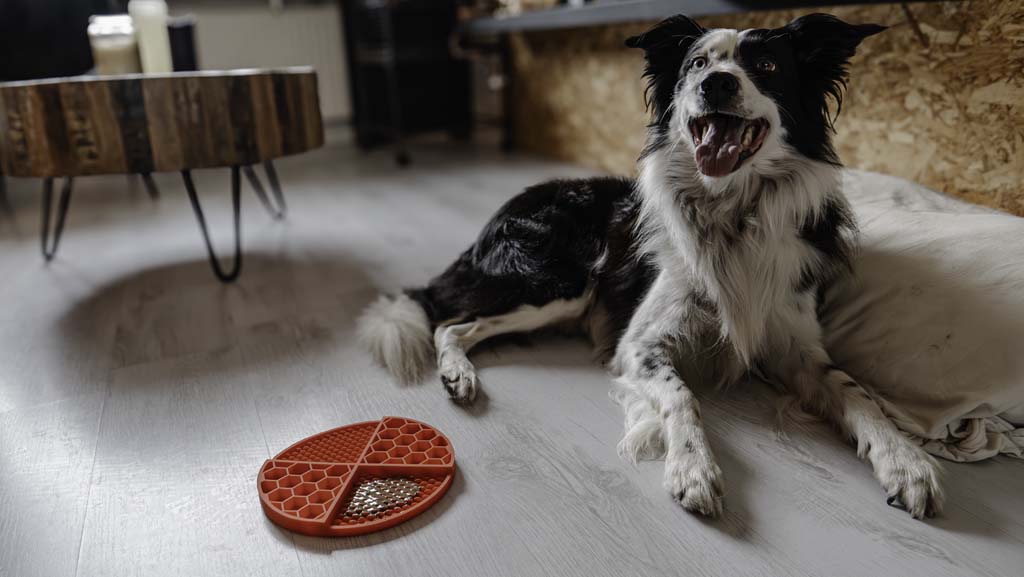 Eat Slow Live Longer Lick Mat Dimensions Circle Rot