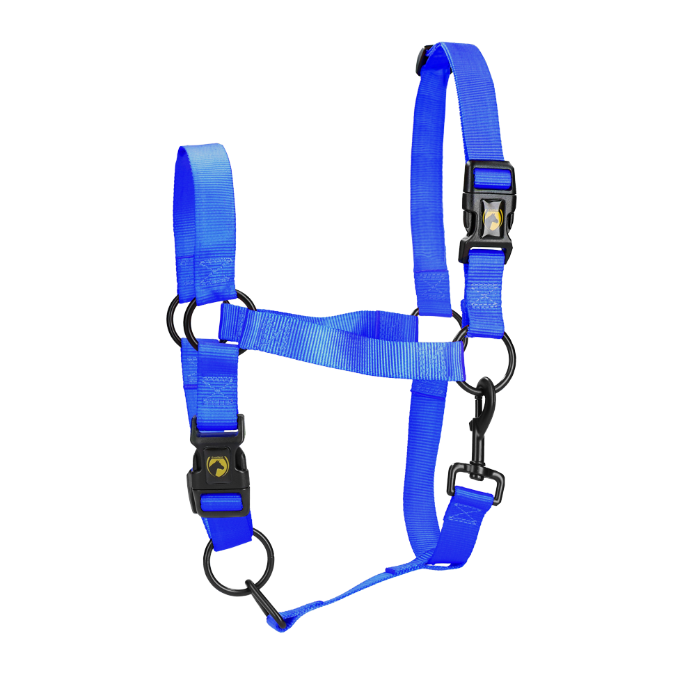 Excellent Essential Halfter Blau L