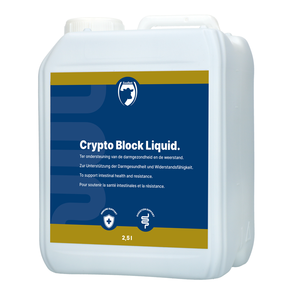 Excellent Crypto Block Liquid 2,5L