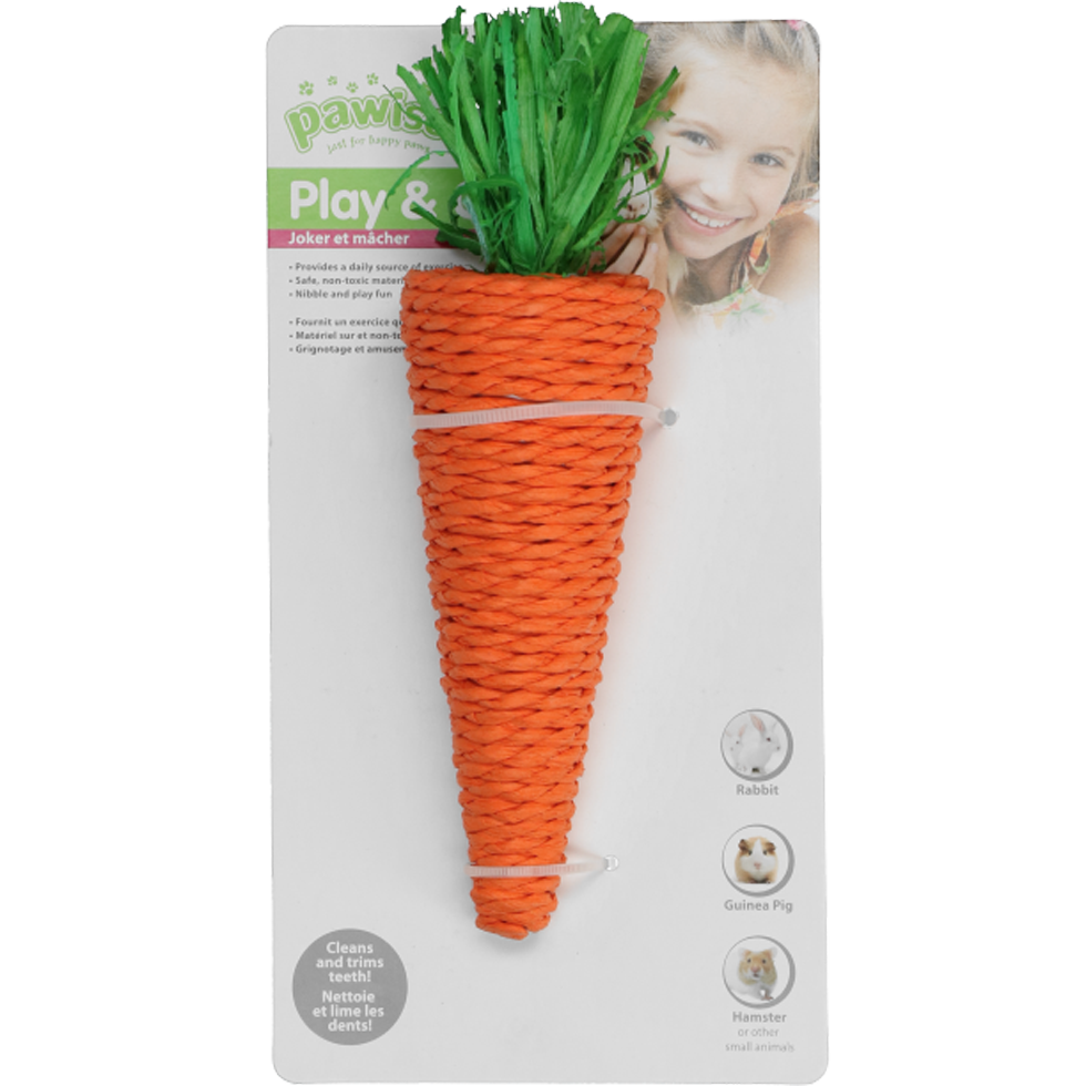 Pawise Play & Chew Carrot