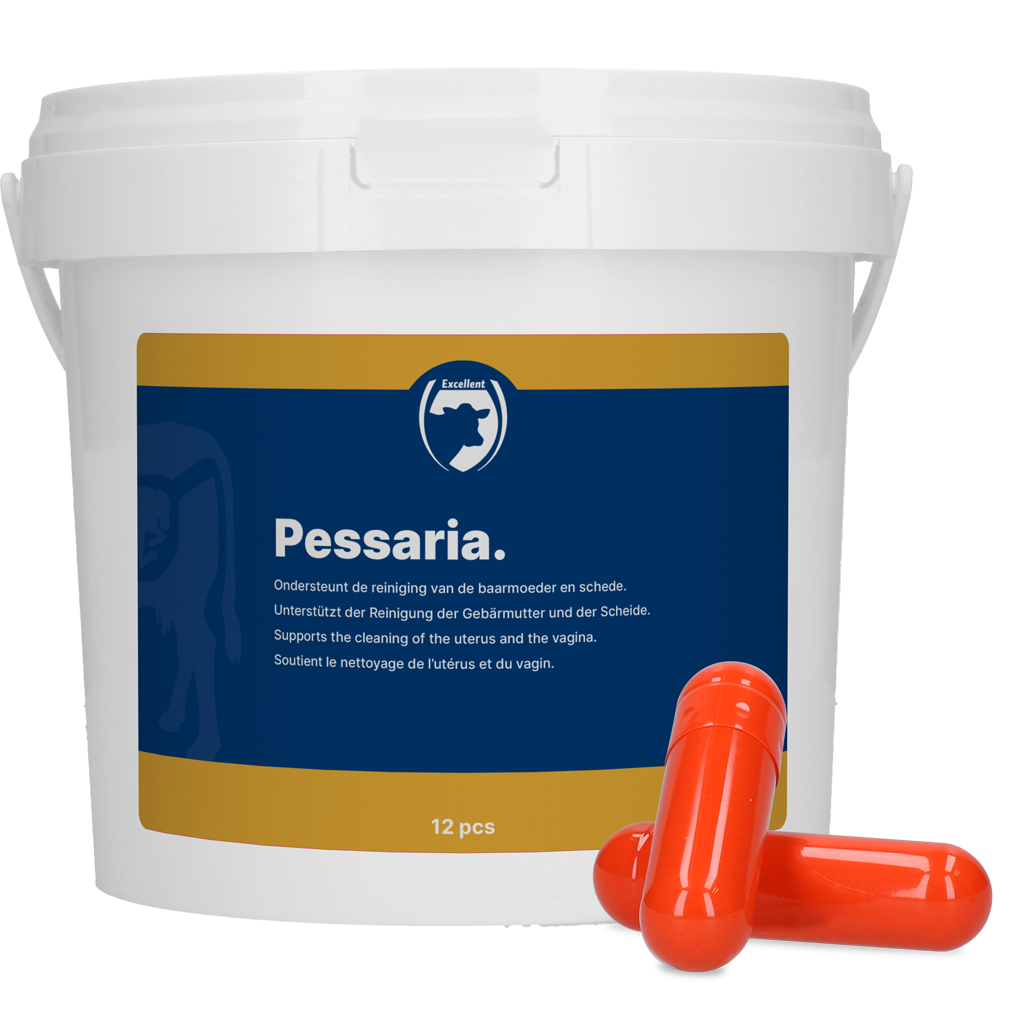 Excellent Pessaria Kapsel 12 St.