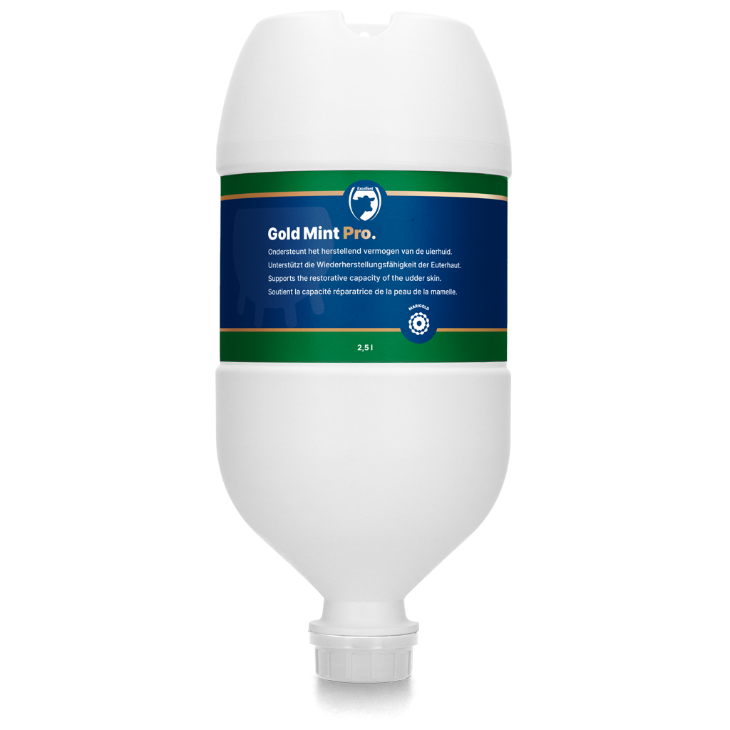 Excellent Gold Mint Pro Hängetube 2,5 l