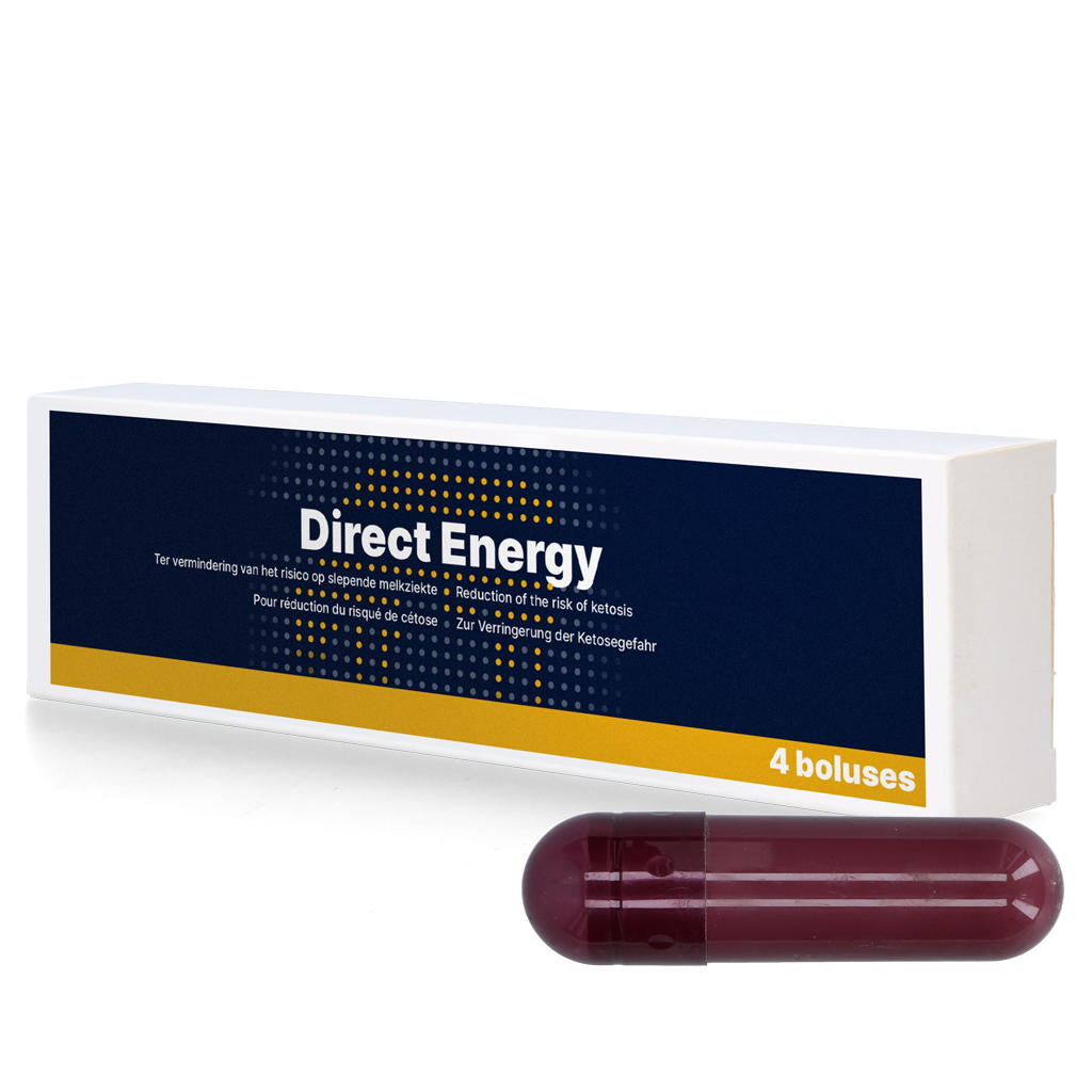 Direct Energy 4 x 67 g