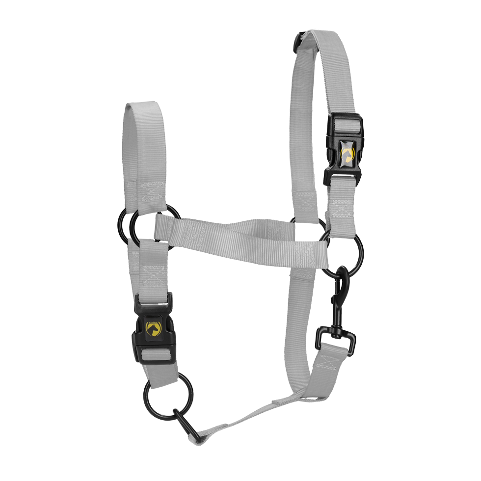 Excellent Essential Halfter Grau S