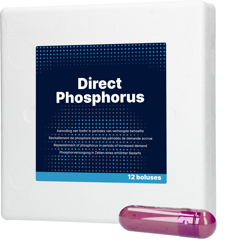 Direct Phosphorus 12 x 123 g