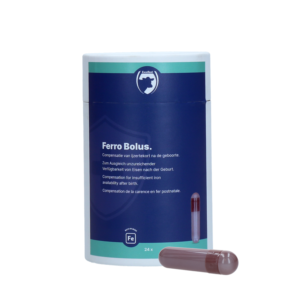 Excellent Ferro Bolus C 24 x 9,5 g
