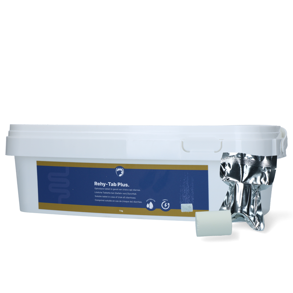 Excellent Rehy-Tab Plus (Brausetablette Durchfall) 20 tabs
