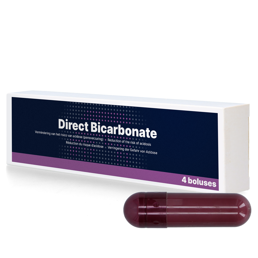 Direct Bicarbonate 4 x 116 g