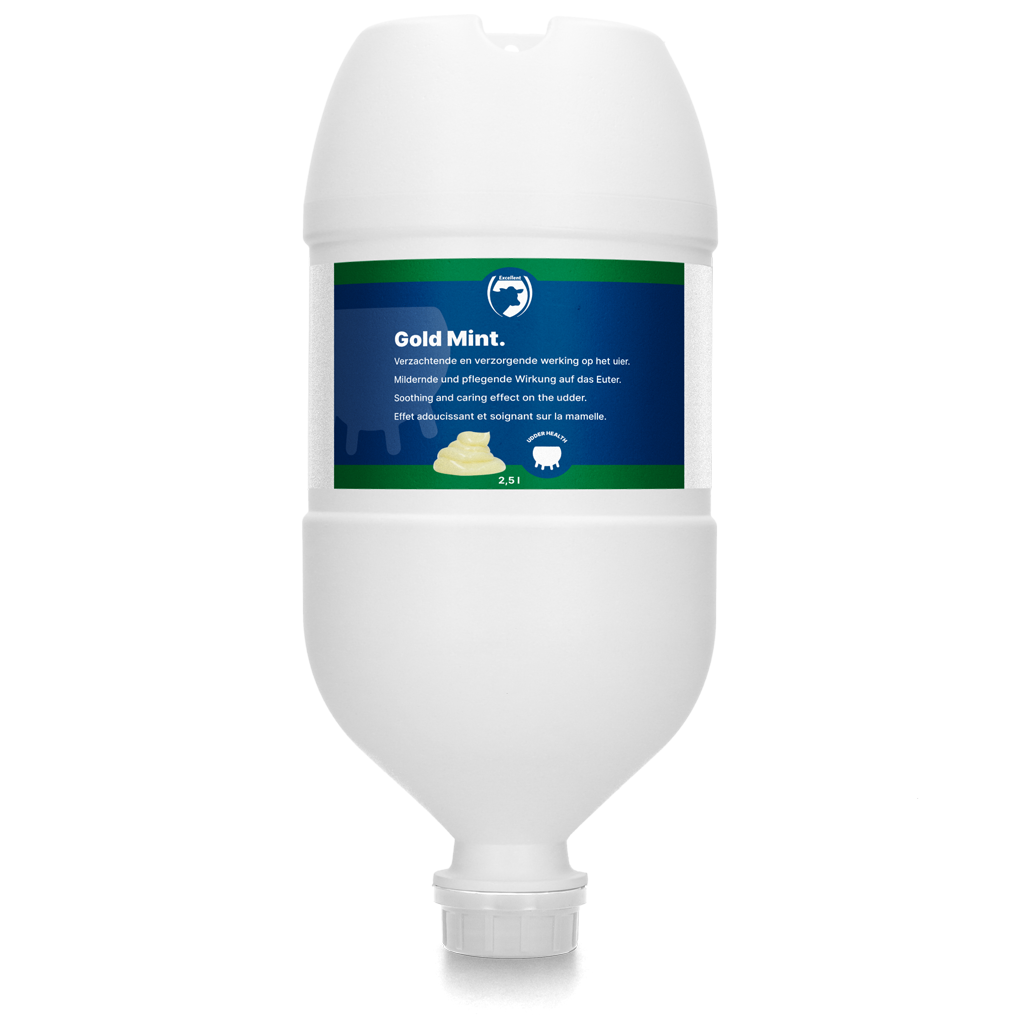 Excellent Gold Mint Hängetube 2,5 l