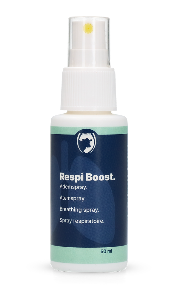 Excellent Respi Boost (Atem-Spray) 50 ml