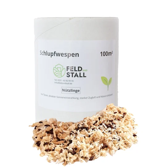 Schlupfwespen (5 Auslieferungen) für 100m²