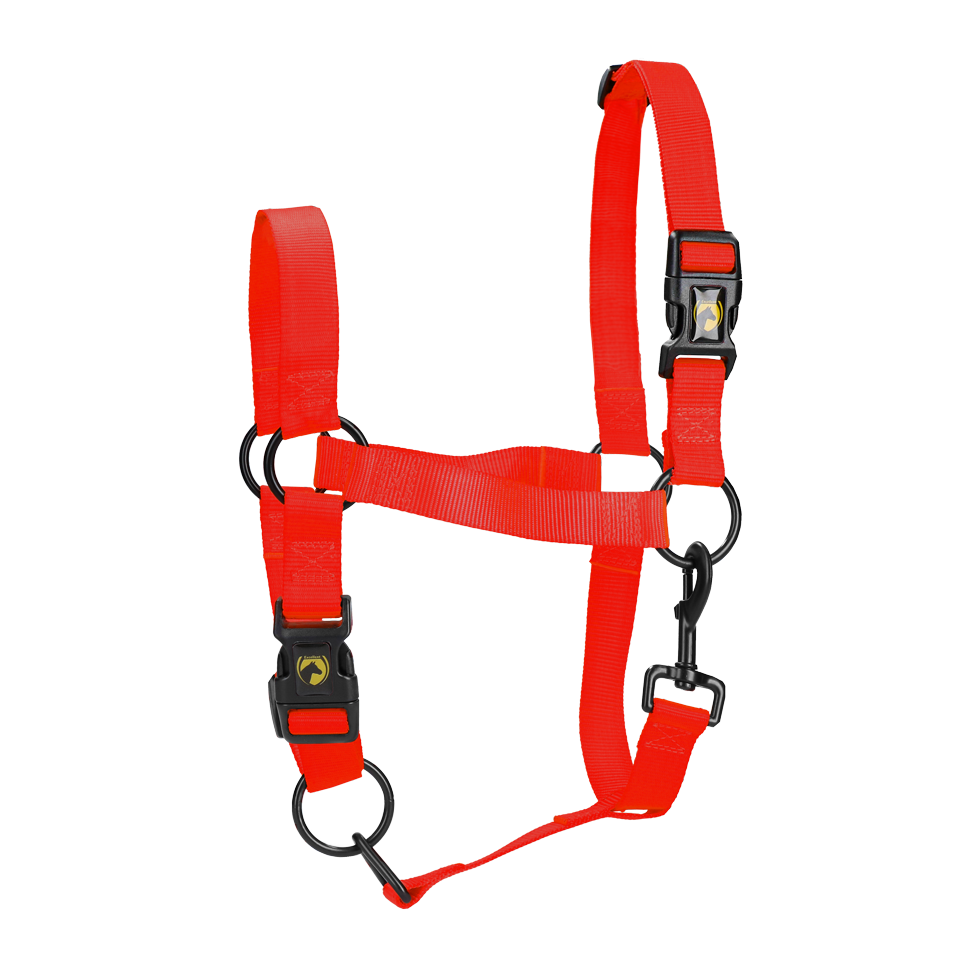 Excellent Essential Halfter Rot L