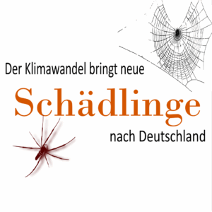 Titelbild, Schädlinge durch den Klimawandel - Joel Debus